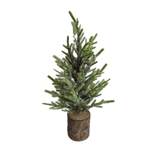 Small Evergreen Tree - Natural base