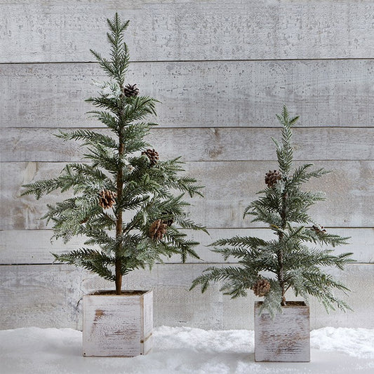 Trees in Wooden Planter Box