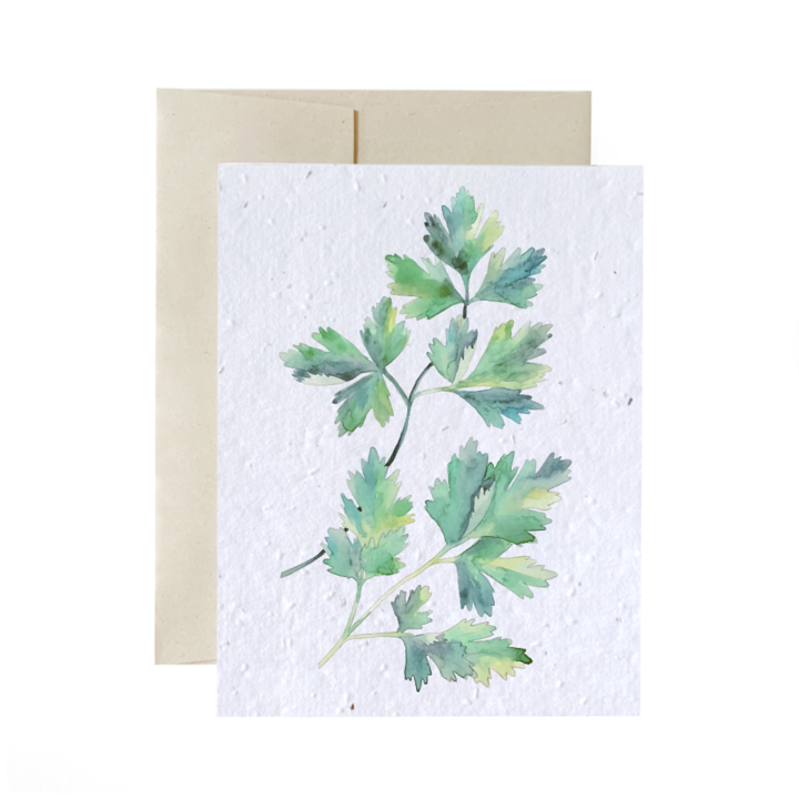 Seed Cards - Flowers and Plants