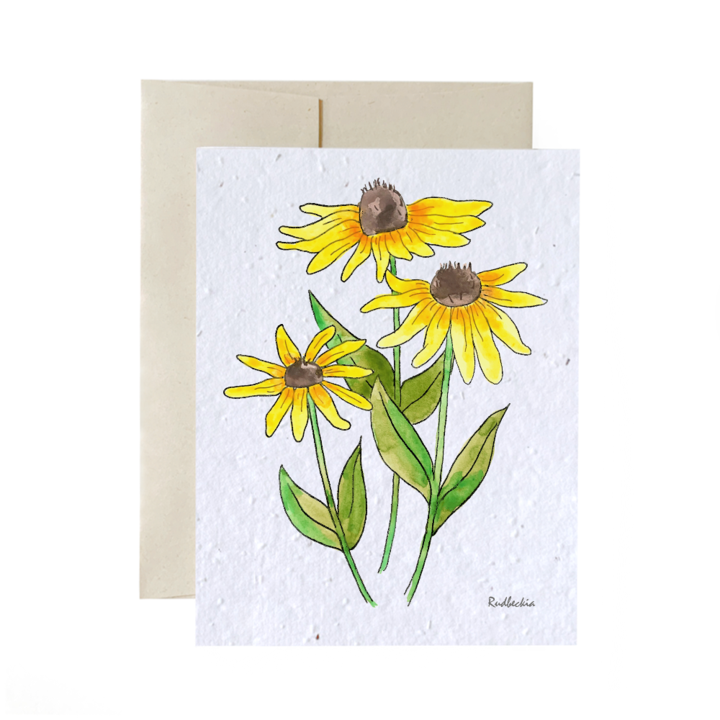 Seed Cards - Flowers and Plants