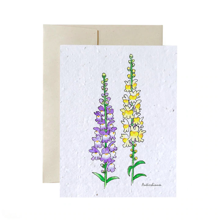 Seed Cards - Flowers and Plants