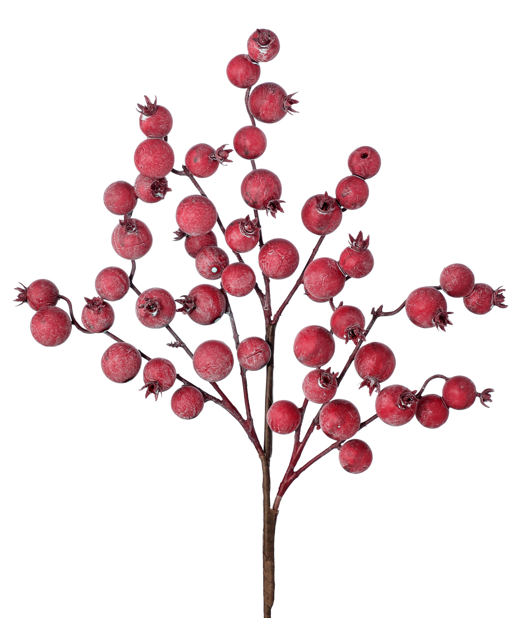 Large Berry Spray Various Colours – Devitt House