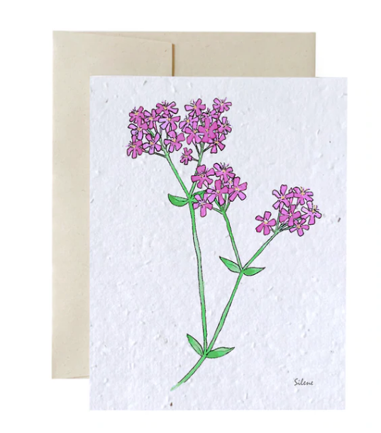 Seed Cards - Flowers and Plants