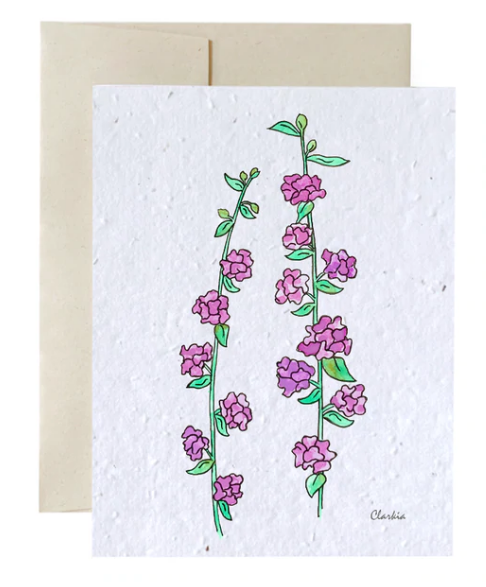 Seed Cards - Flowers and Plants