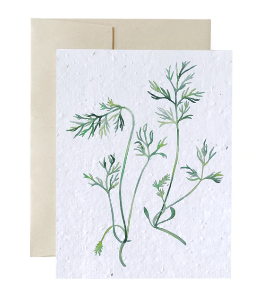 Seed Cards - Flowers and Plants