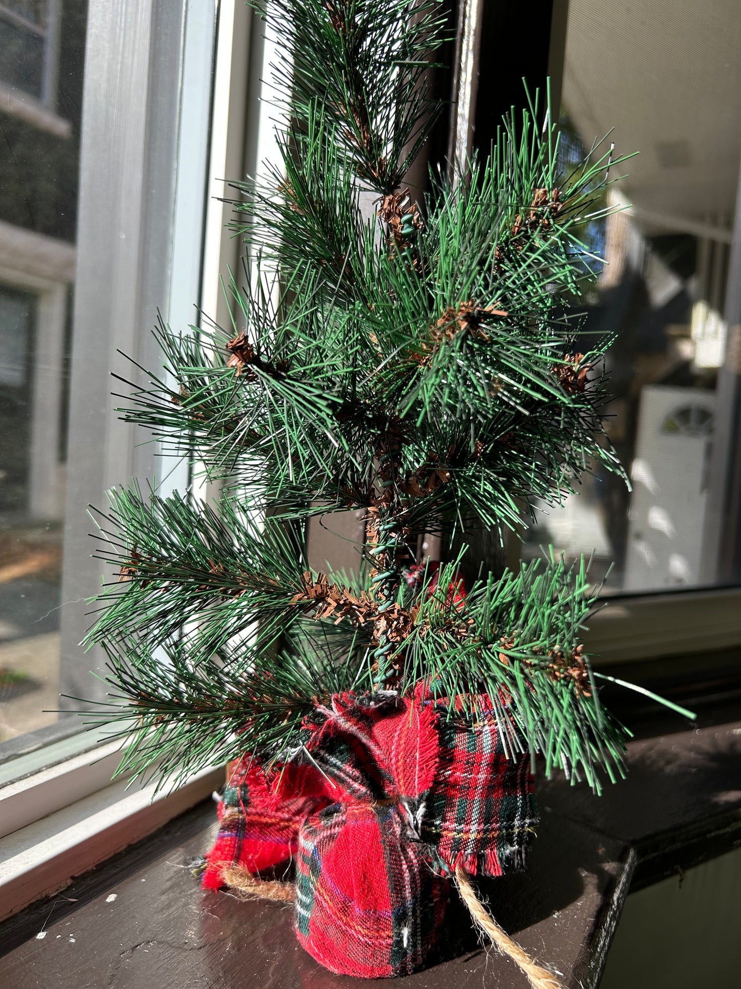 Tartan wrapped pine tree