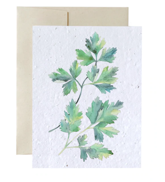 Seed Cards - Flowers and Plants